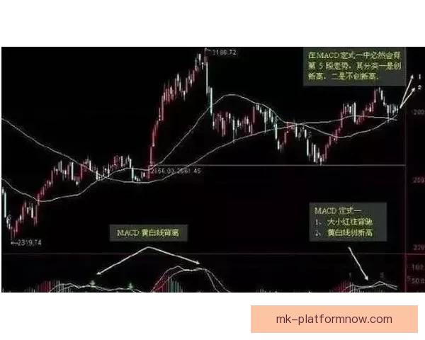 世界杯胜负竞猜攻略解析 轻松把握赛事走势 赢取丰厚奖金